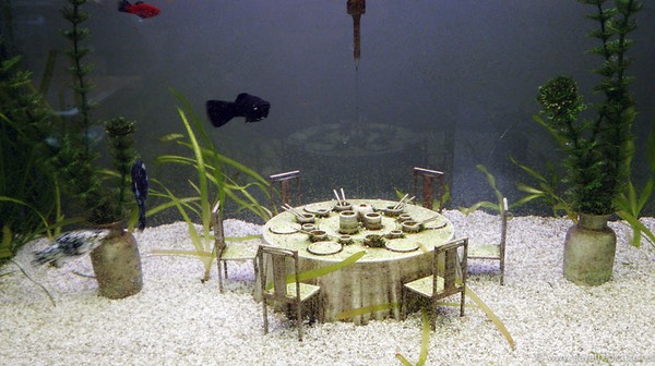 Droog design aqua restaurant, served by fresh water fish
