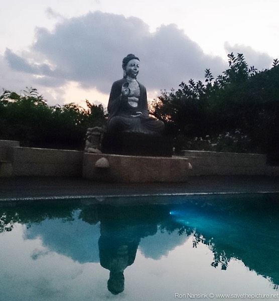 Ibiza retreats Natural Tuning Buddha at the pool