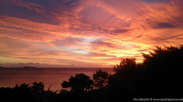 Ibiza retreats Natural Tuning colorful sunset