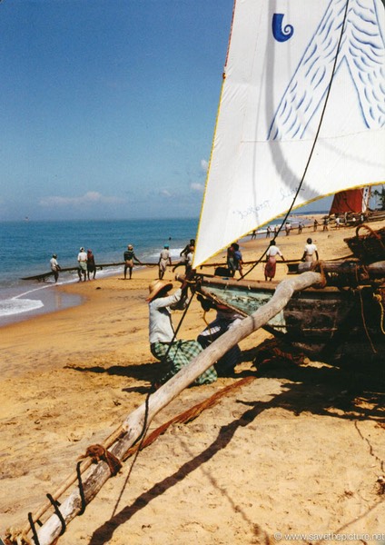 Sri Lanka catamaran art, pulling the boats