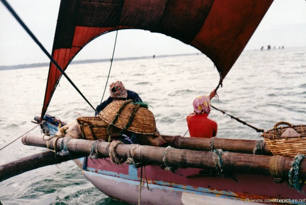 Sri Lanka catamaran art, fisherman at sea