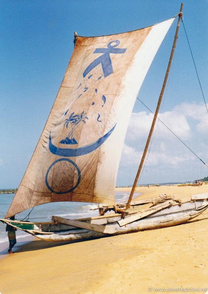 Sri Lanka catamaran art palmtrees