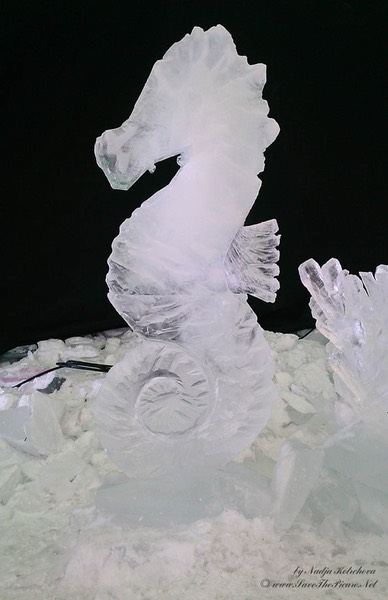 The_ice_sculpture_Seahorse, Czech Republic