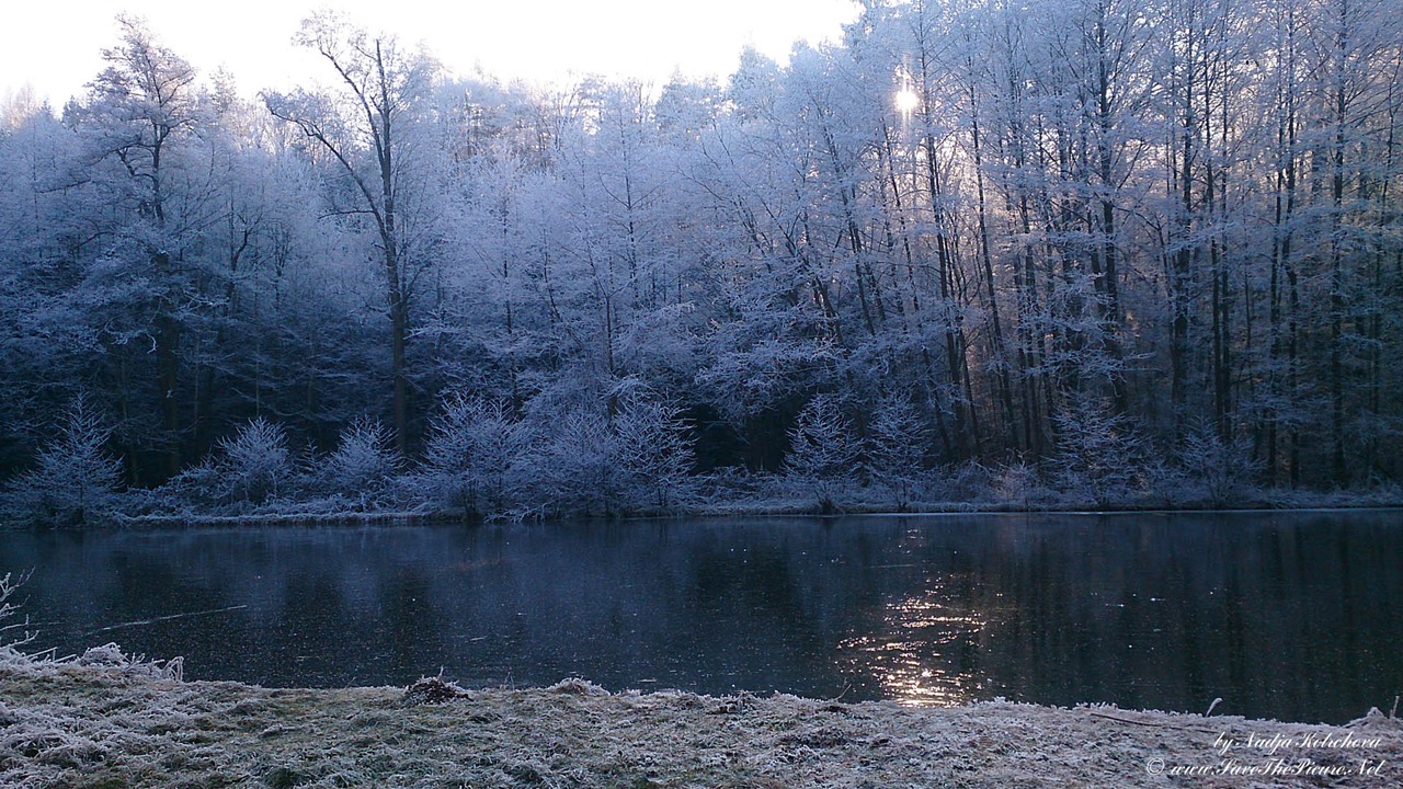 Winter_time_forest_lake, Czech Republic