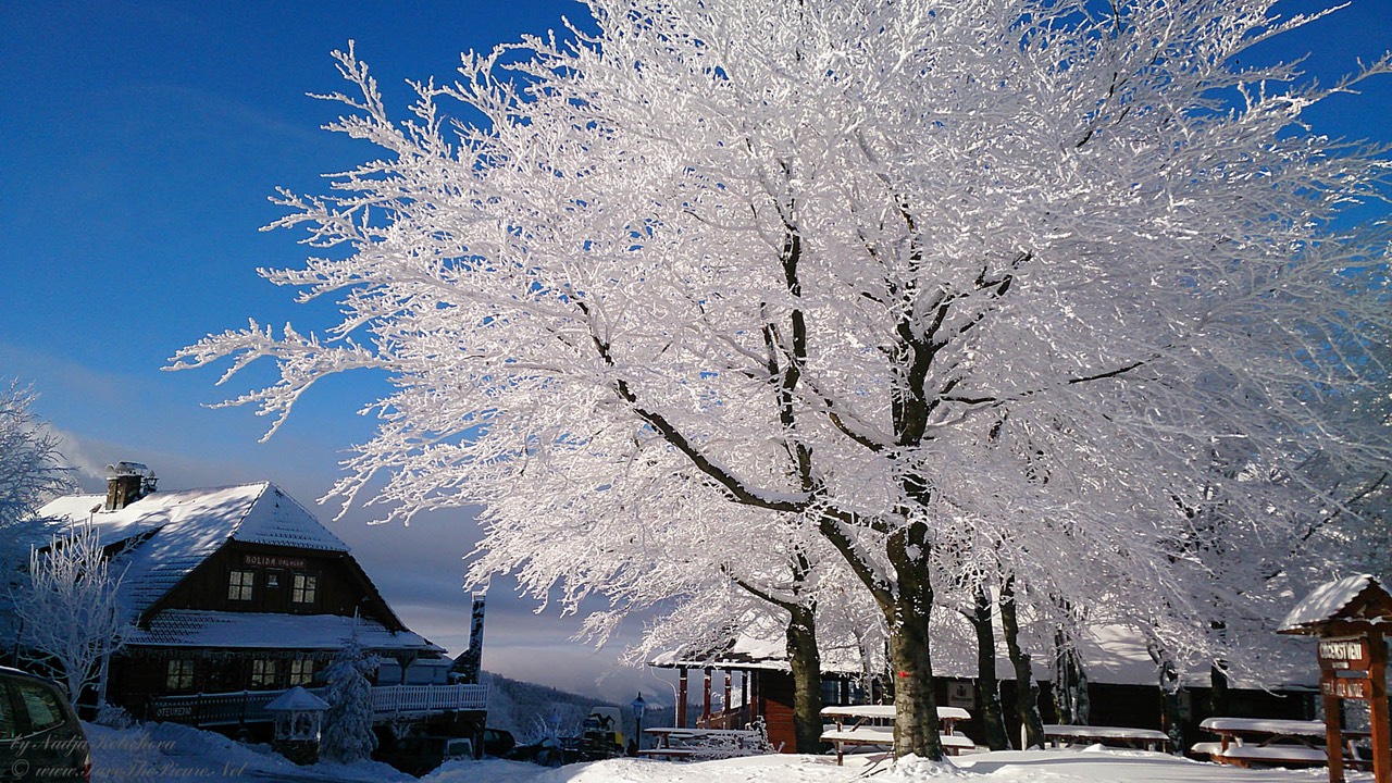 Beskid_Mountains_restaurant_Koliba_Valaska, Czech Republic