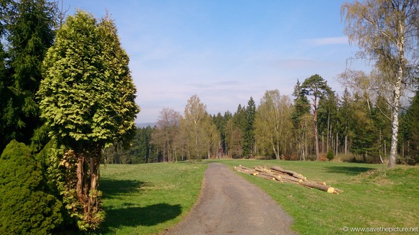 Entrance road to hotel Zamecek