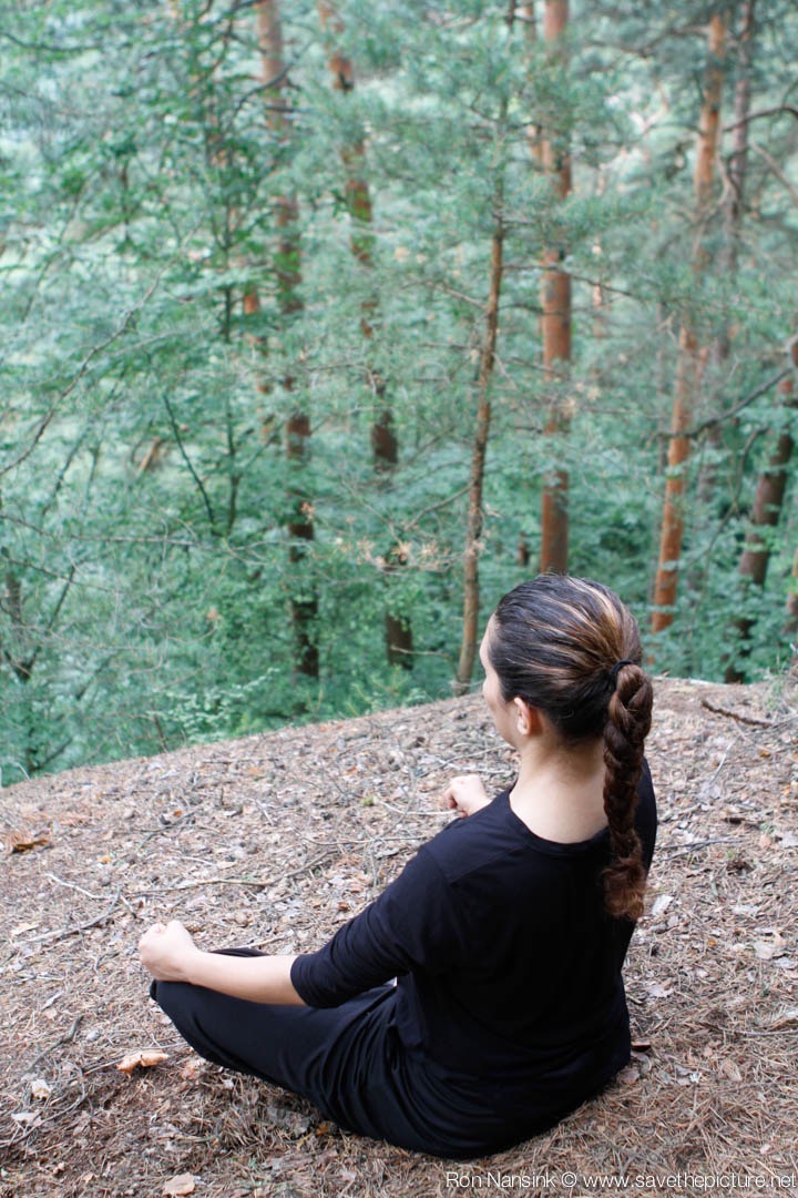 Forough Fay, Wu chi meditation