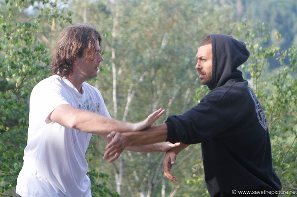 Lucian and Omid Taikiken pushinghands
