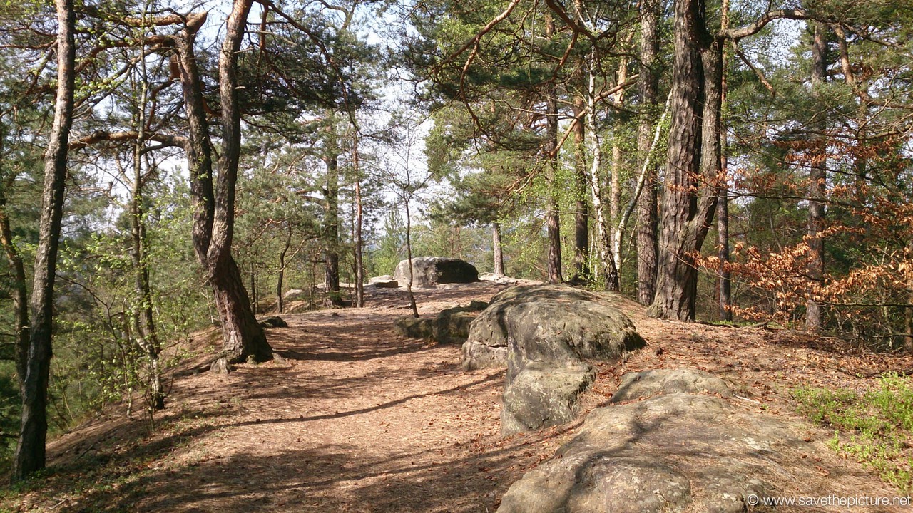 On top of the Taikiken early morning meditation spot