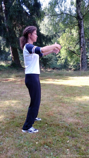 Ritsuzen standing zen, body mapping.