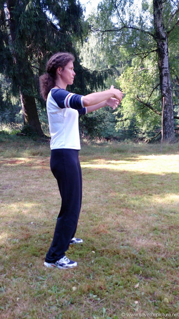 Ritsuzen standing zen, body mapping.