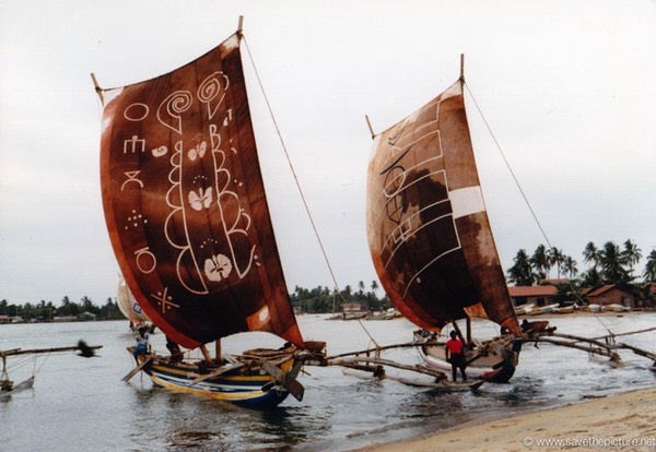 Sri Lanka catamaran art, natural beauty