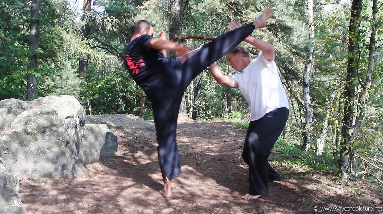 Taikiken double hand jodan mawashi block