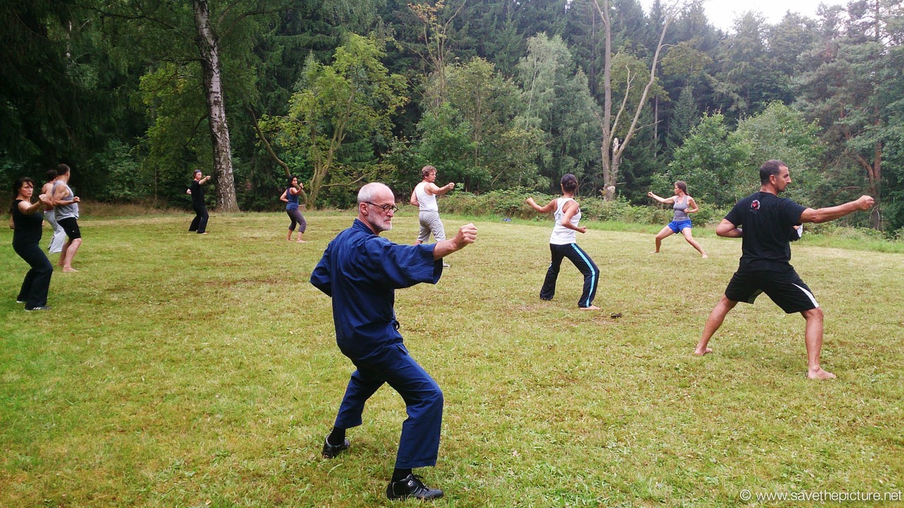Taikiken Hachidankin the devils fist posture
