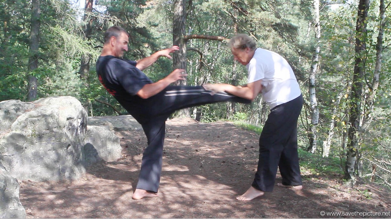 Taikiken mae geri soft defense