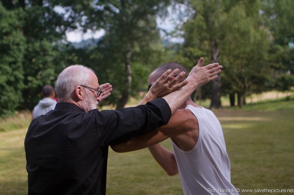 Taikiken Natural Tuning 2016, experimenting with the move - move principle