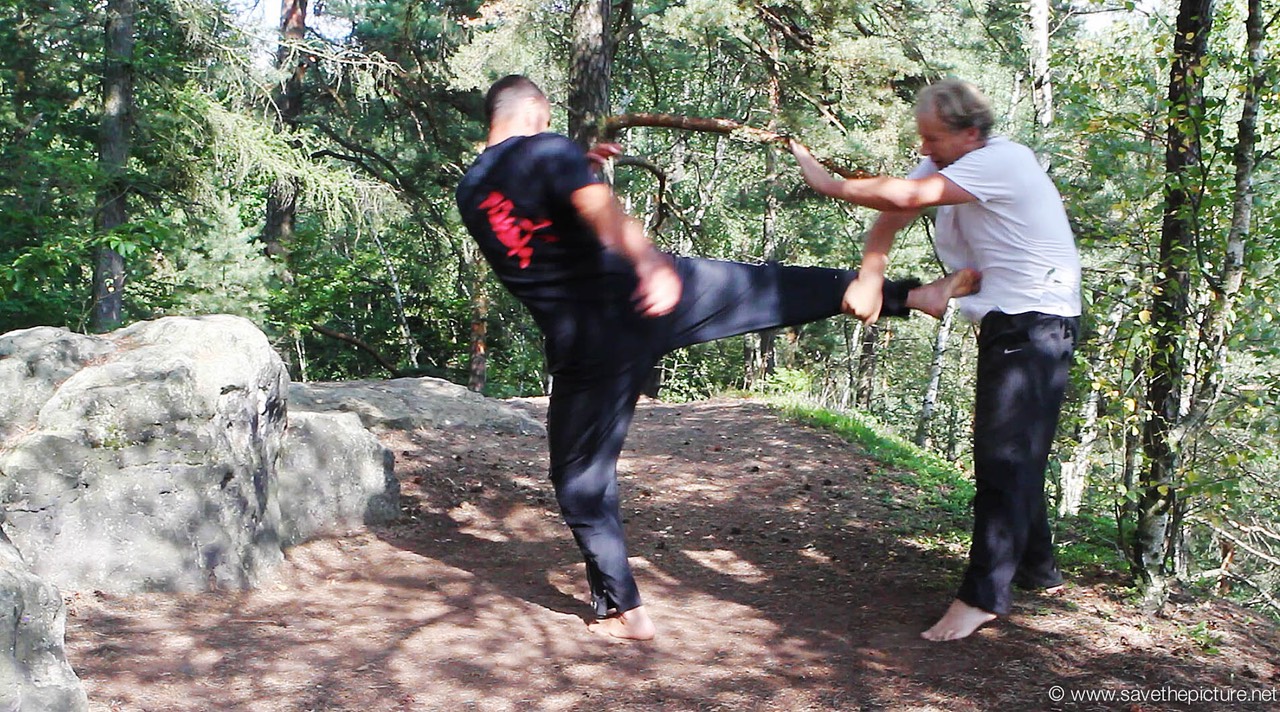 Taikiken rib kick defense with Harai-te