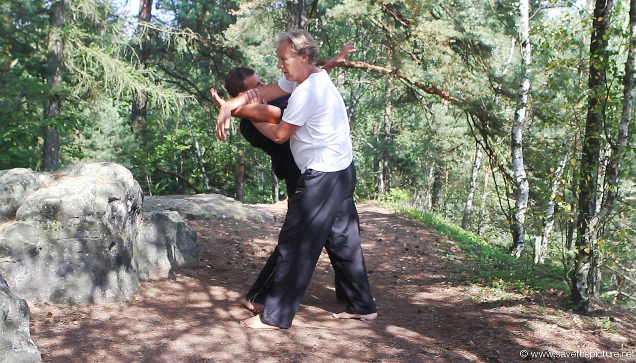 Taikiken sashi-te with armlock