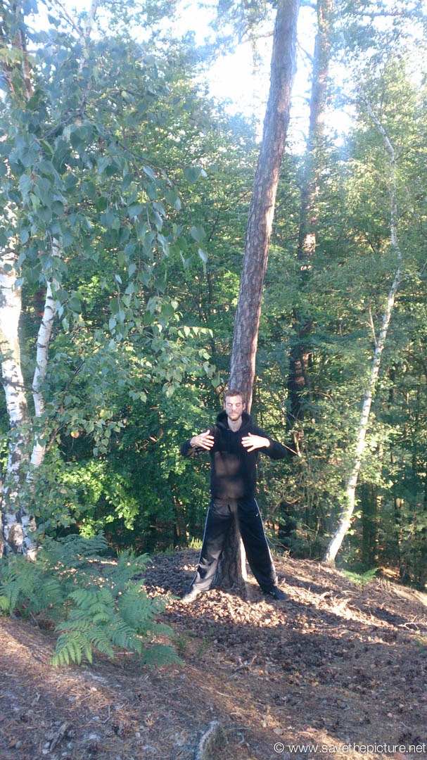 Taikiken standing tree