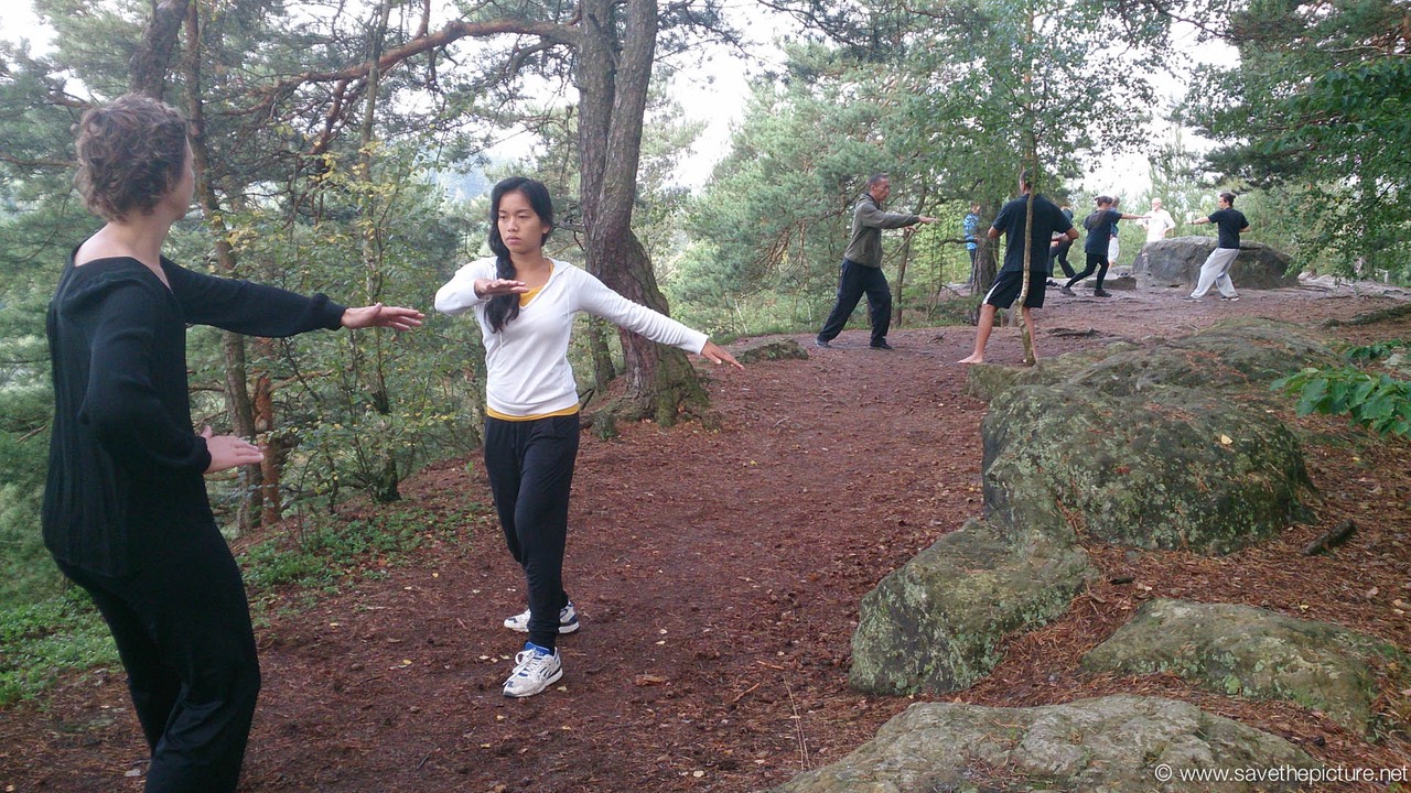 Taikiken Harai-te two circles exercise with steps