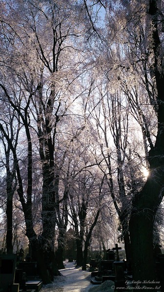 White_stillness_Cemetery, Czech Republic